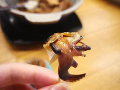 白灼贡贡-新海山海鲜餐馆