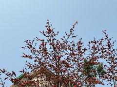 -洲头咀公园