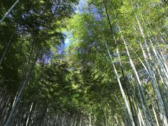 -敬亭山风景名胜区