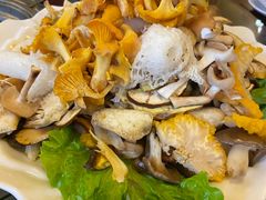 -山大王菌莊