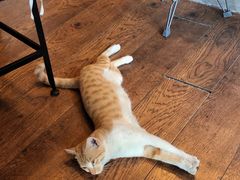 -251#coffee roasters(沿河东路店)