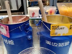 -溪边姑娘·拉丝酸奶水果捞(春熙路店)