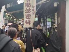 -猫的魔法密林(衣裳街店)