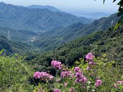 -大岭沟猕猴桃谷风景区