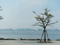 -滴水湖