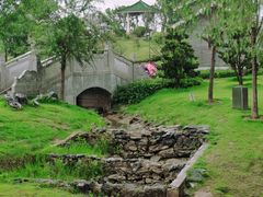 -王借岗森林公园