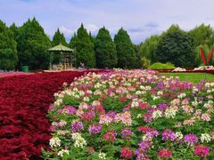 -石家庄市植物园