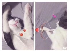 -海底捞火锅(大融城店)