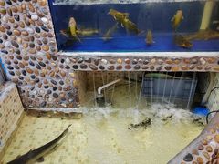-福熙鼎铁锅炖鱼(槐中路店)