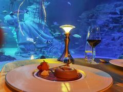 -沈阳海洋探索中心