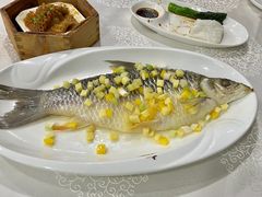 -寻味顺德·南记酒家·传统顺德菜·鱼生(广源路店)