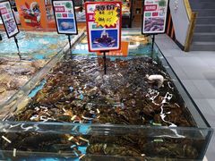 -渔乐圈海鲜餐厅(群力金江路店)