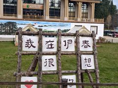 -五营红松林海景区