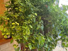 -萤火虫咖啡(后海店)