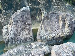 -广州白江湖森林公园