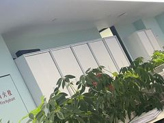 -王丽律师团队·专注婚姻家事(黄浦店)