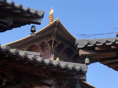 -广富林郊野公园