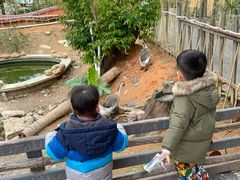 -园林美食城·本土农家菜(杨和镇店)