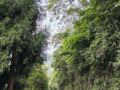 -阿坝州汶川特别旅游区