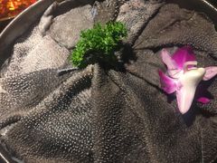 -渝涯重庆豆花老火锅(中赢国际店)