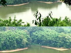 -天鹿湖森林公园