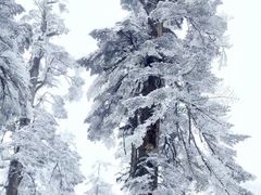 -瓦屋山景区