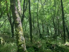 -叠溪松坪沟景区