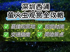 -西涌国际滨海旅游区