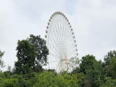 -凤岭儿童公园