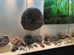 -广东中医药博物馆