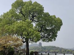 -杭州西湖柳莺里酒店·闻莺厅