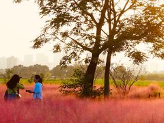 -汉长安城未央宫国家考古遗址公园