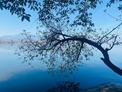 -西昌邛海湿地