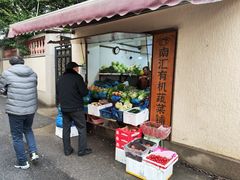-嘉善老市