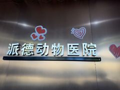 -pd派德宠物中心医院24H急重症·眼科中心·血液透析中心(嵩山北路店)