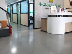 -半岛宠物医院24小时(科华中路店)