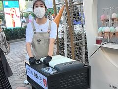 -野人先生现做冰淇淋(北京顺义祥云小镇店)