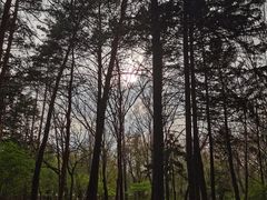 -黑龙江省森林植物园