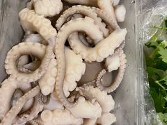 白灼章鱼-铭聚章鱼土笋冻(松柏店)