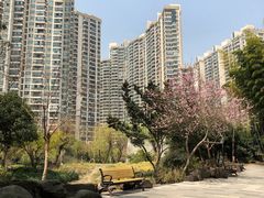 -苏州河梦清园环保主题公园