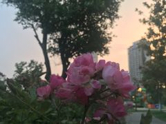 -常熟理文铂尔曼酒店