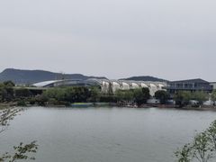 -羊山湖公园