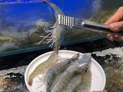-苏格里岛自助烤肉海鲜火锅(成都金牛万达店)