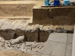 -秦始皇帝陵博物院(兵马俑)