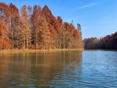 -上海海湾国家森林公园