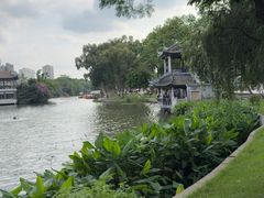 -荔湾湖公园