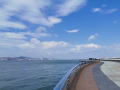 -演武大桥观景平台