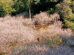 -广州市白云山风景名胜区
