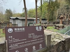 -都江堰中华大熊猫苑
