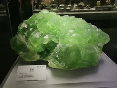 -湖南省地质博物馆